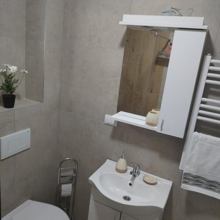 Divcibarski izvor - One-Bedroom Apartment - 4