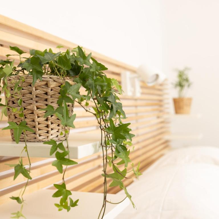 Appartamento Gemelli - Val Favara Apartment - Appartement 1 Chambre avec Balcon - 14