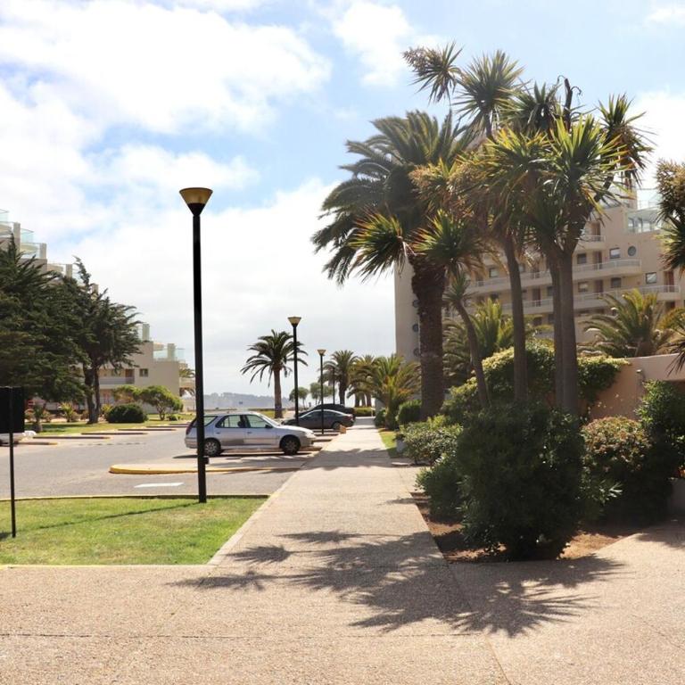 Gran Departamento en San Alfonso - Apartamento - 2