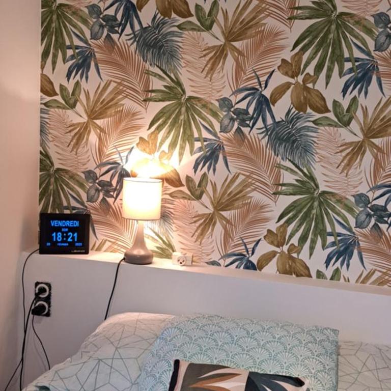A 50m des cures libre mi septembre joli studio rénové orienté Nord bien ventilé - Appartement 1 Chambre - 4