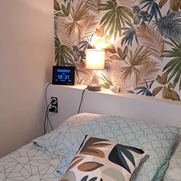 A 50m des cures libre mi septembre joli studio rénové orienté Nord bien ventilé - Appartement 1 Chambre - 58