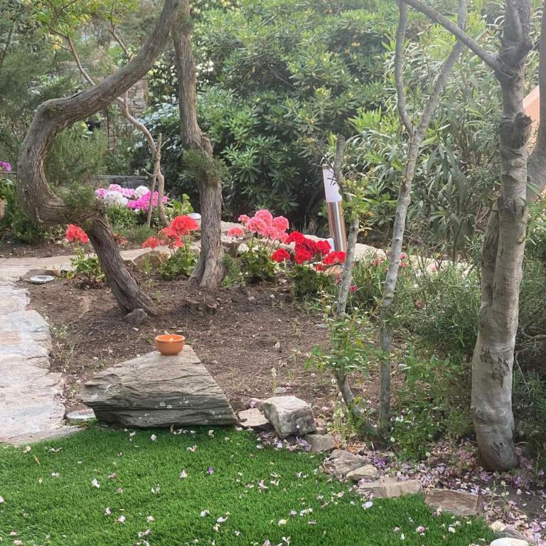 Casa con giardino, Wi-Fi e aria condizionata vicino alla Pelosa - Appartamento con 2 Camere da Letto e Vista Mare - 54