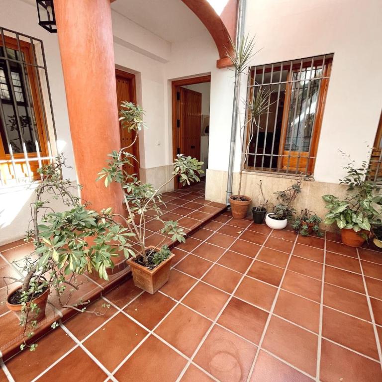 Apartamento Potro 2 Córdoba - Apartamento de 2 dormitorios - 11