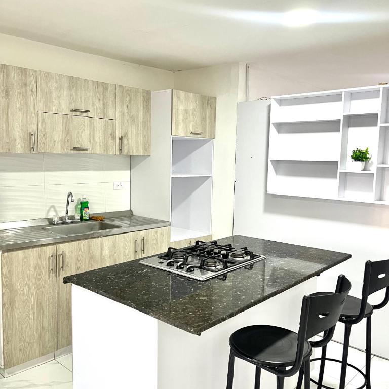 Aparta estudio en zona norte - Apartamento de 1 dormitorio - 1