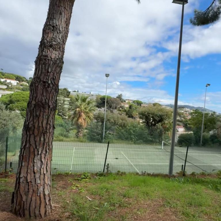 Vue mer imprenable, piscine à débordement - Cannes - Apartment mit 1 Schlafzimmer - 22