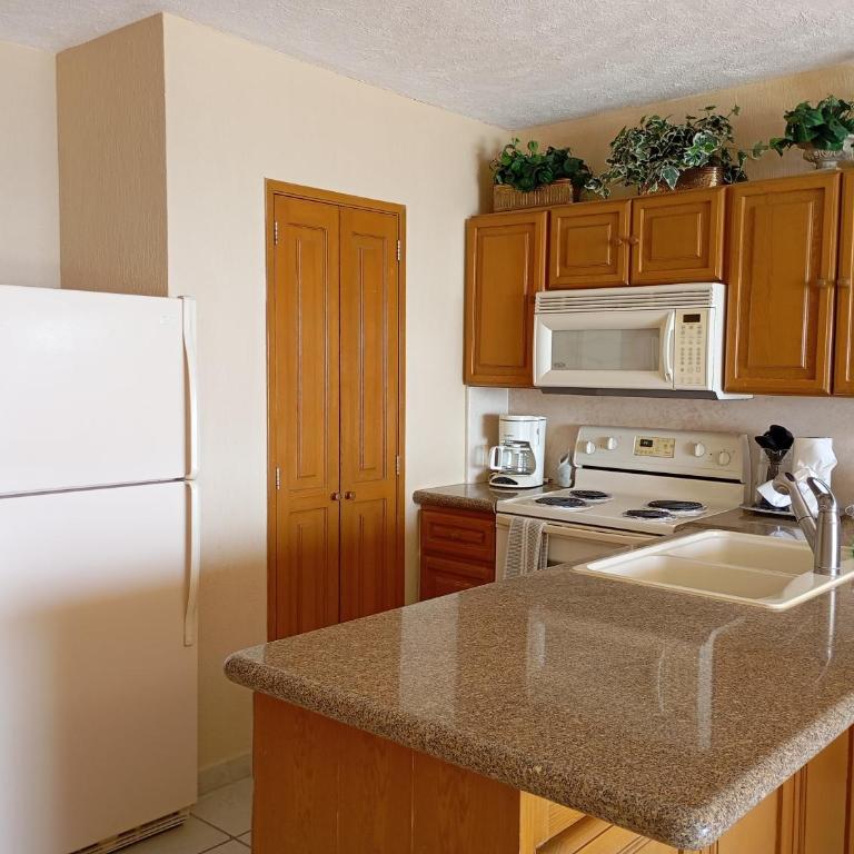 Sonoran Sea 512-W Elevated Coastal Escape with Stunning Ocean Views - Casa con 1 dormitorio - 3