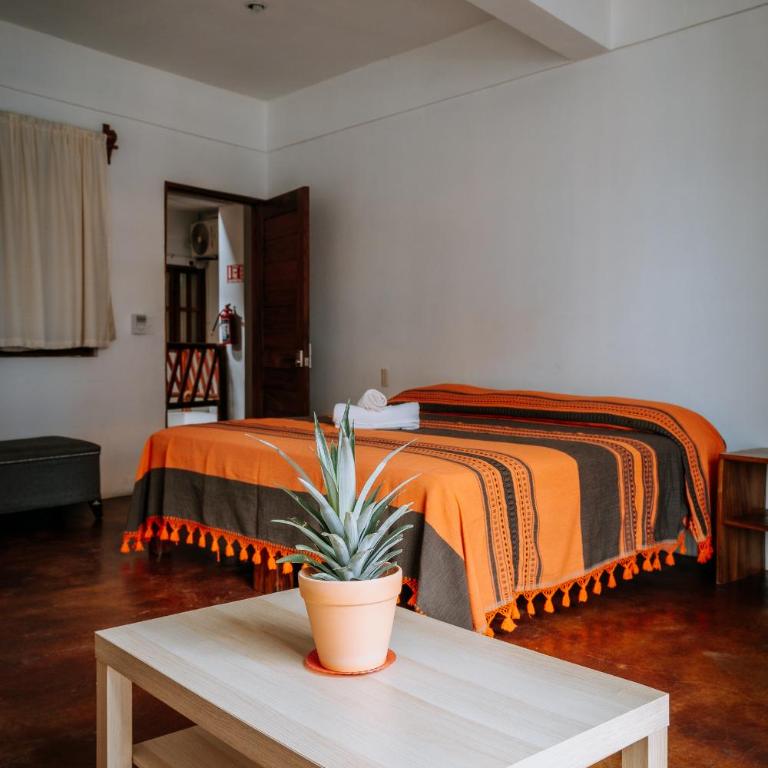 Terraza Puerto Hostel - Chambre Double Deluxe avec Balcon - 1