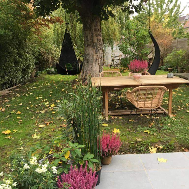 Petit cocon lillois:Cheminée & jardin - Studio with Sofa Bed - 2