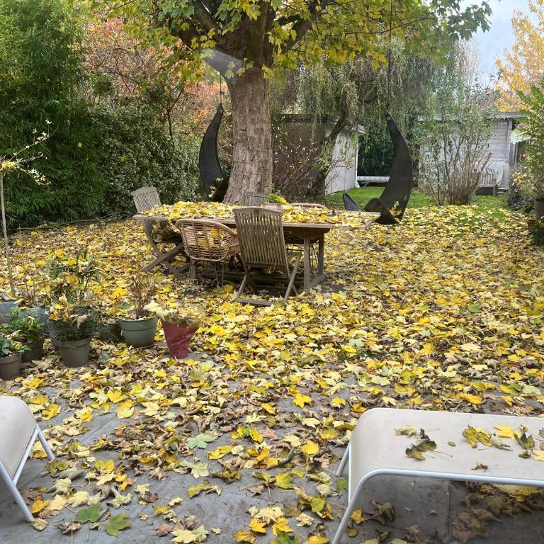 Petit cocon lillois:Cheminée & jardin - Double Room with Private Bathroom - 9