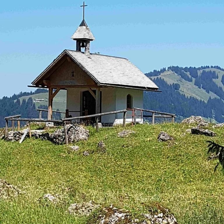 Appartement Nr 11, Oberstaufen-Steibis, Allgäu, Oberstaufen PLUS - Apartment - 16