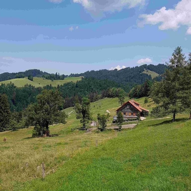Appartement Nr 11, Oberstaufen-Steibis, Allgäu, Oberstaufen PLUS - Apartment - 18