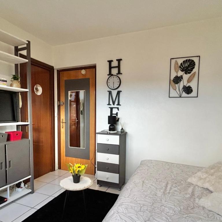 Studio cosy Vue imprenable Aix Les Bains - Estudio - 15