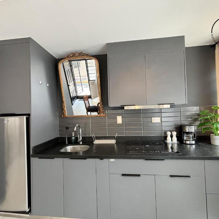 Loft en centro histórico de Mazatlán! - One-Bedroom Apartment - 23