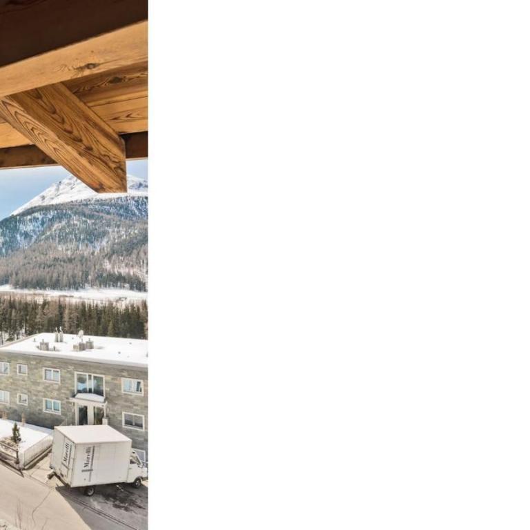 Chesa Pitz Alv - Pontresina - Apartment mit 2 Schlafzimmern - 19