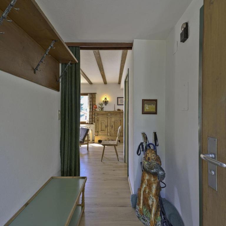 Chesa Raetia - Pontresina - Apartment - 9