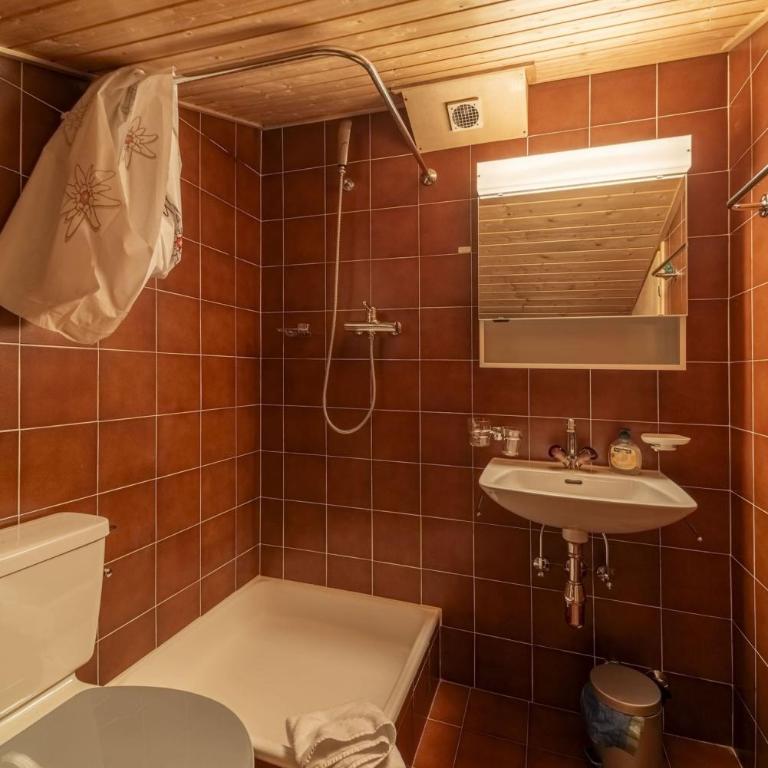 Chesa Panorama - Celerina - Apartment mit 3 Schlafzimmern - 10