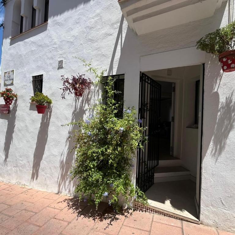 Los Remedios - One-Bedroom Apartment - 6