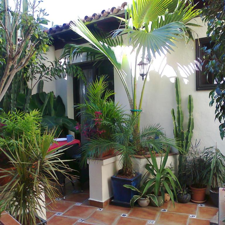 Apartamentos Monasterio de San Antonio - Rustikales Apartment mit kleiner Innenhofterrasse - Apartment - 2