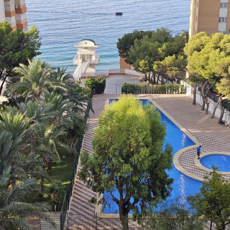 Apartamento Provima B 7 IF Benidorm - Apartamento de 1 dormitorio - 29