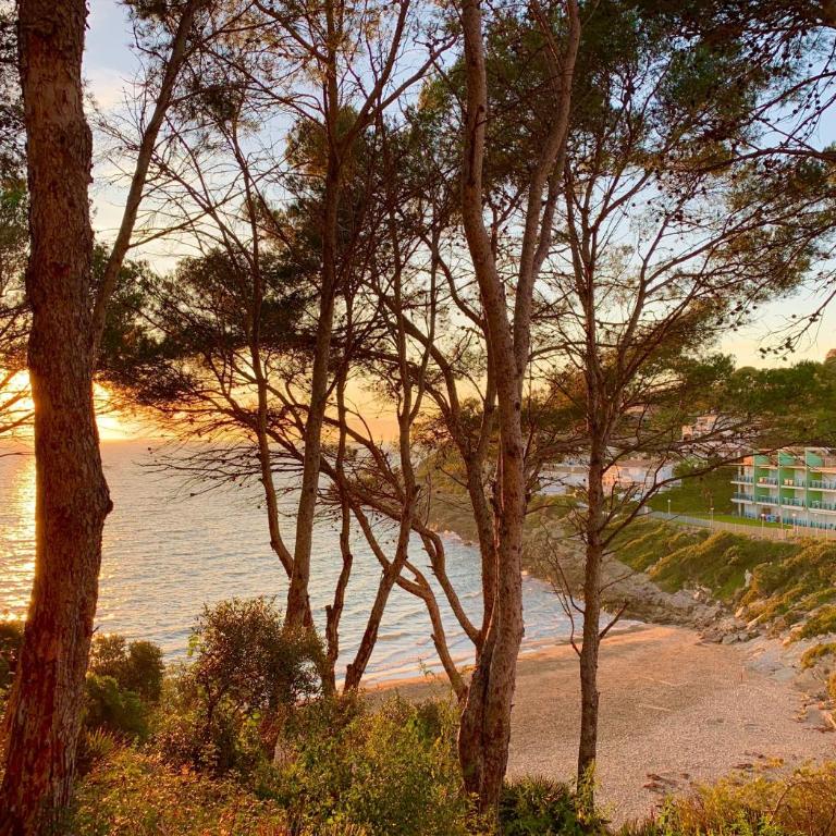 Mediterranean Way - Ontario - Apartamento de 2 dormitorios - 37