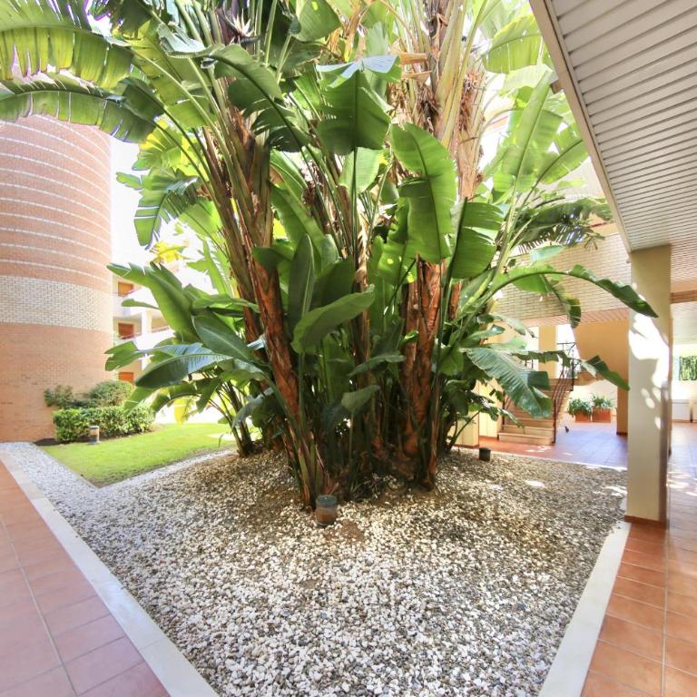 Mediterranean Way - Mediterraneo 411 - Two-Bedroom Apartment - 37