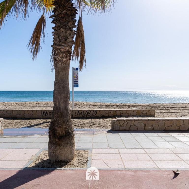 Mediterranean Way - Roxamar - Apartamento de 3 dormitorios - 32