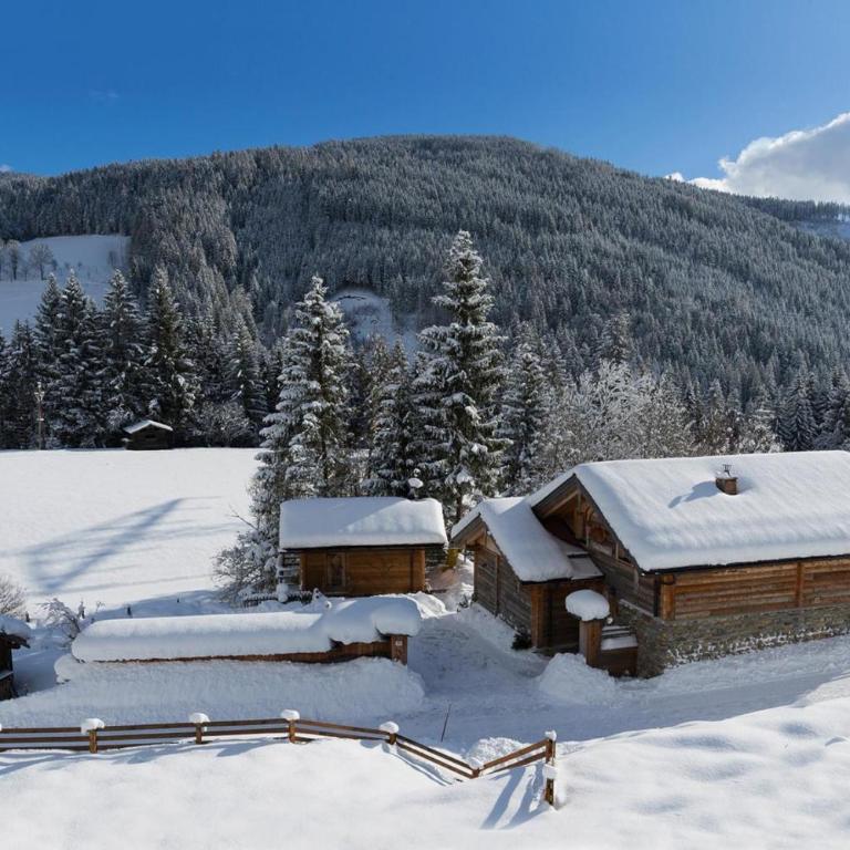 Chalet Steinbock, St Martin am Tennengebirge - Superior Chalet - 22