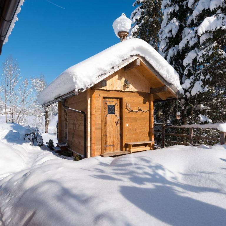 Chalet Steinbock, St Martin am Tennengebirge - Superior Chalet - 18