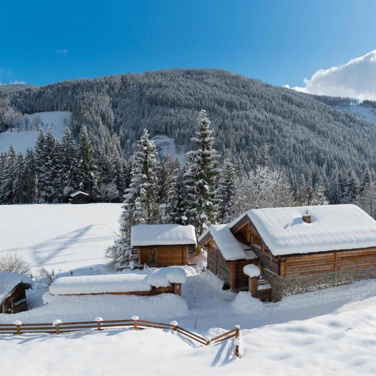 Chalet Steinbock, St Martin am Tennengebirge - Superior Chalet - 33