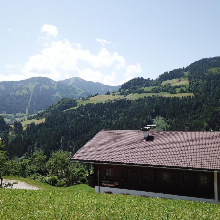 Wimmers Hundsegghof WILD002 - Apartment - 2