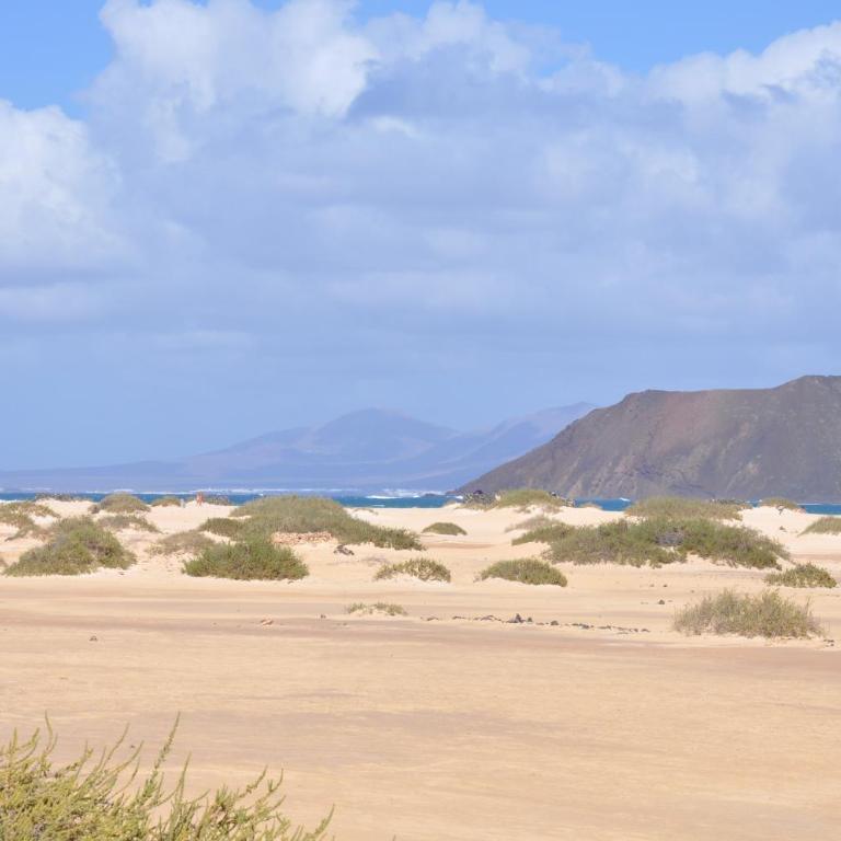 Villa Dunas Fuerteventura - Villa 2 Chambres - 21
