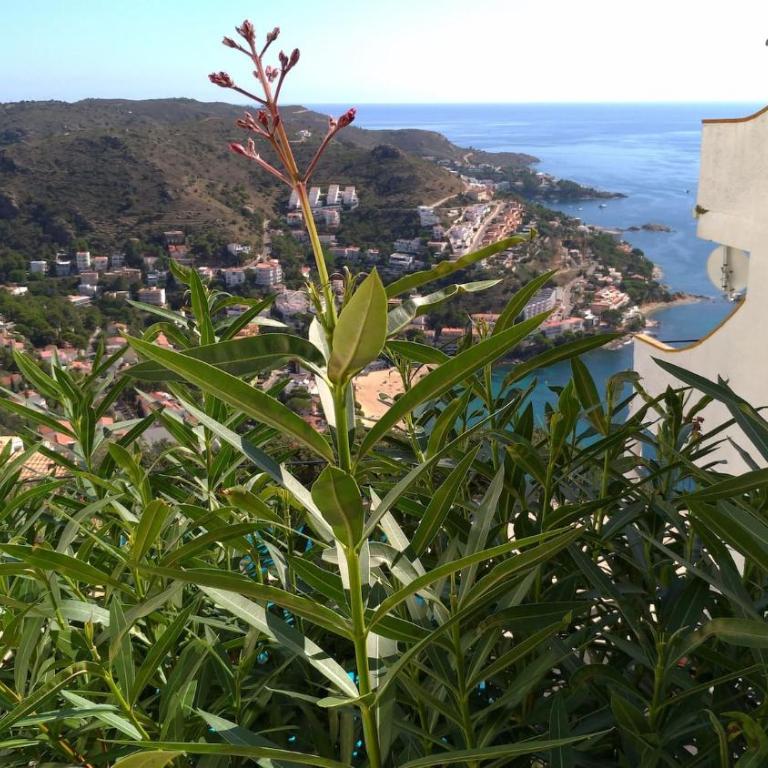 Impresionantes vistas del mar en Roses, Canyelles AV-37 - Two-Bedroom Apartment - 27