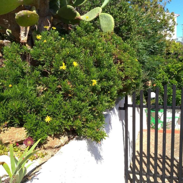 Impresionantes vistas del mar en Roses, Canyelles AV-37 - Two-Bedroom Apartment - 28