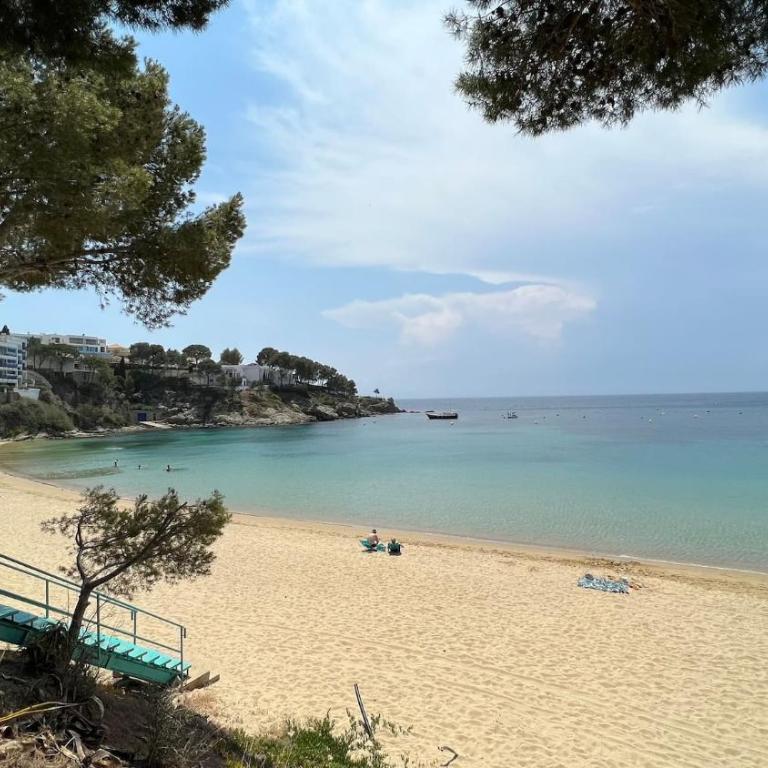 Apartamento con acceso directo a la playa AV-39 - Apartamento de 3 dormitorios - 15
