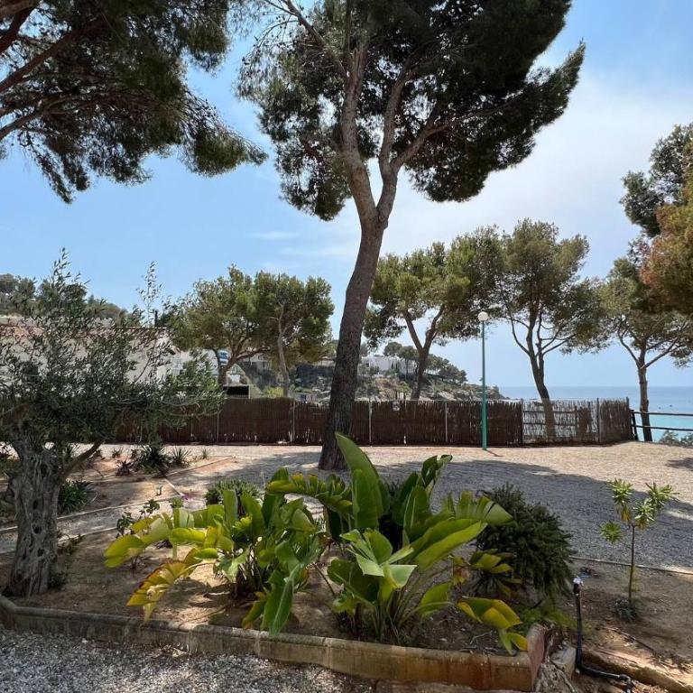 Apartamento con acceso directo a la playa AV-39 - Apartamento de 3 dormitorios - 43