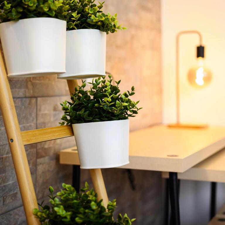 Insubria 8-6 - Monolocale Cool - Appartamento con 1 Camera da Letto - 28