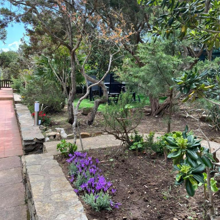 Casa con giardino, Wi-Fi e aria condizionata vicino alla Pelosa - Appartamento con 2 Camere da Letto e Vista Mare - 55
