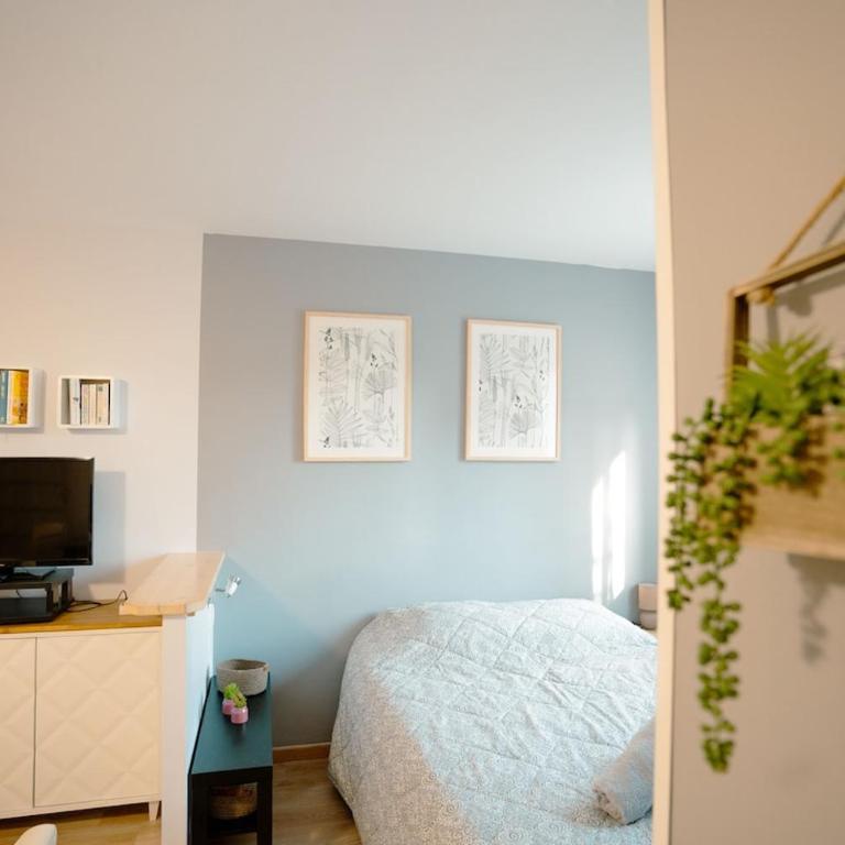 Studio Coté Jardin - Apartamento de 1 dormitorio - 9