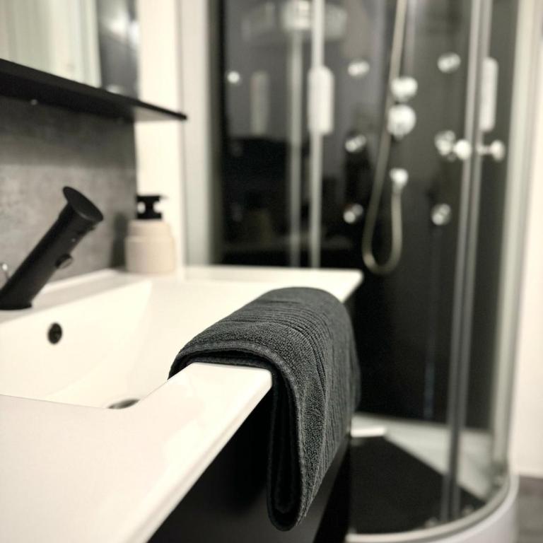 Le Petit Rive Gauche - Blois - Appartement 1 Chambre - 5