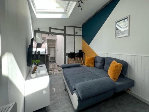 Le Petit Rive Gauche - Blois - Appartement 1 Chambre - 7
