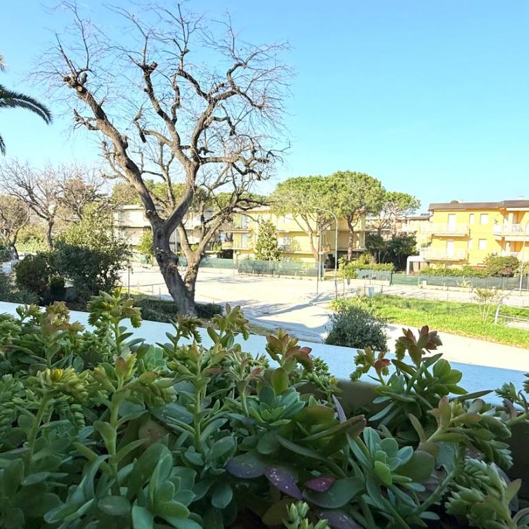 M425 - Marcelli, bilocale su due livelli con terrazzo - One-Bedroom Apartment - 19