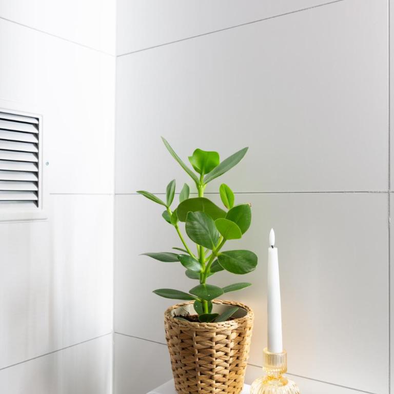 Tourbillon - Apartment mit 1 Schlafzimmer - 21