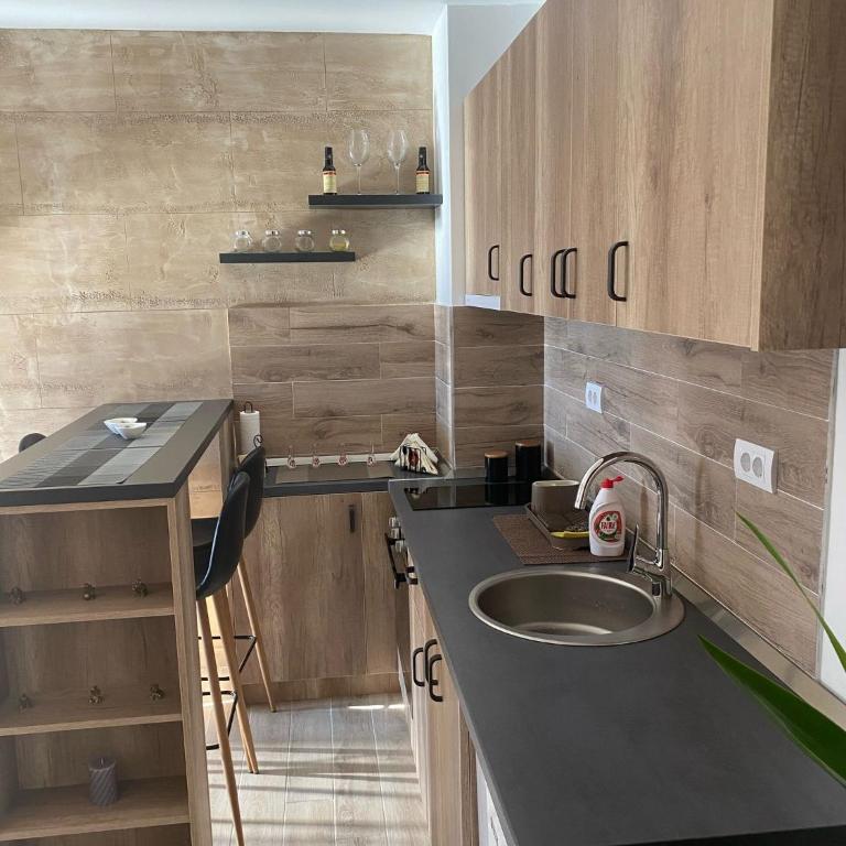 Evergreen - Apartman sa 1 Spavaćom Sobom - 9