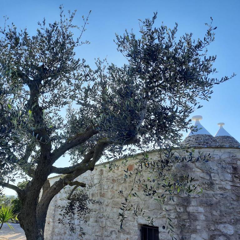 Trullo Olivia con piscina riscaldata, natura e relax - Three-Bedroom House - 54