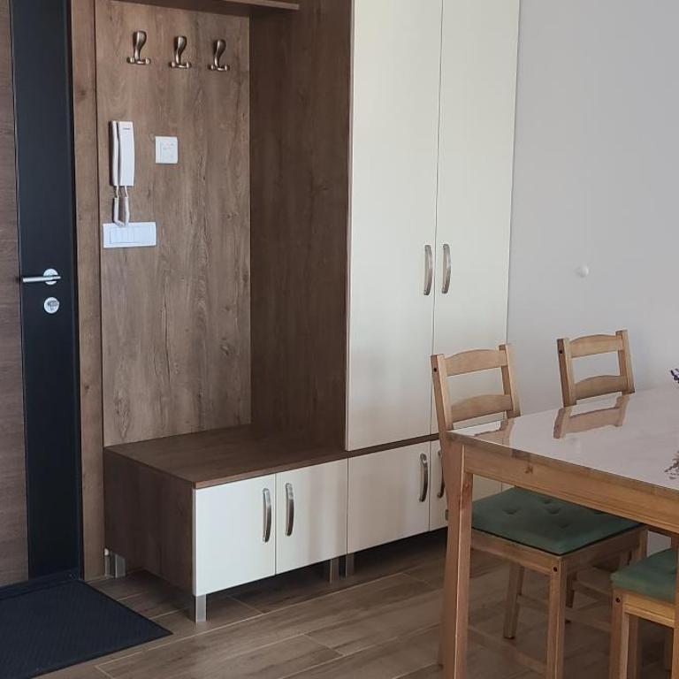 Apartman Niki Borovi - Apartman sa 1 Spavaćom Sobom - 4