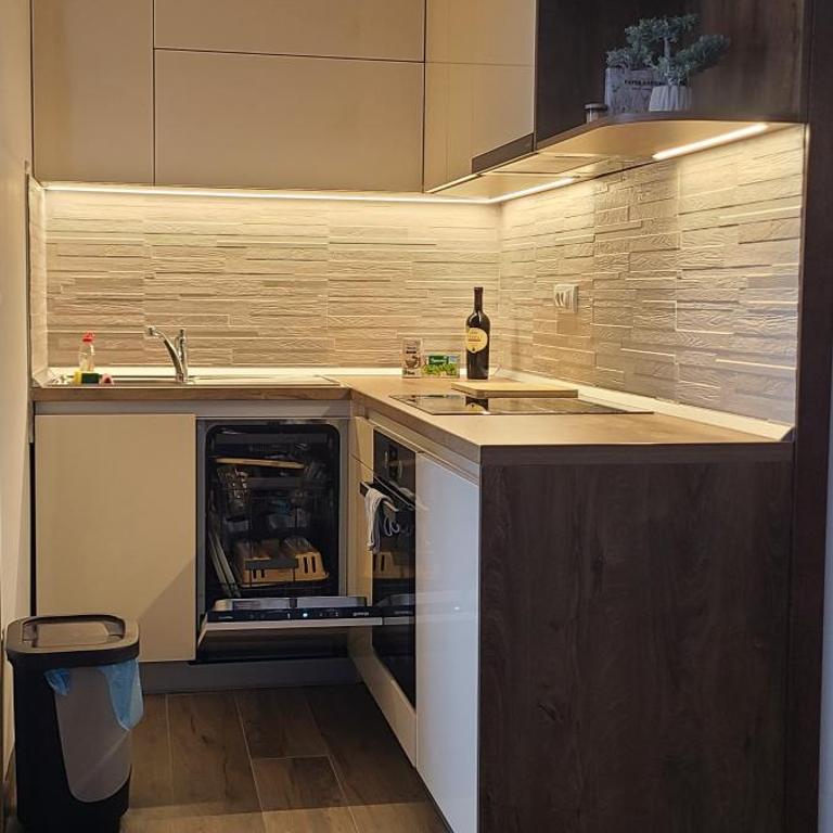 Apartman Niki Borovi - Apartman sa 1 Spavaćom Sobom - 6