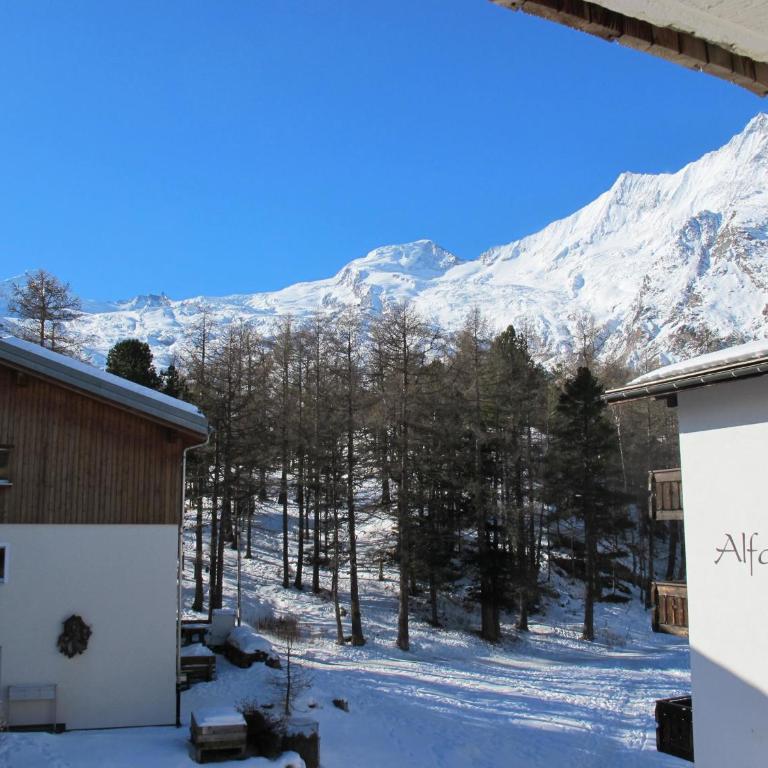 Appartementhaus Venetz SAAS105 ruhige Lage direkt an SKIBUSHALTESTELLE - Apartment - 25