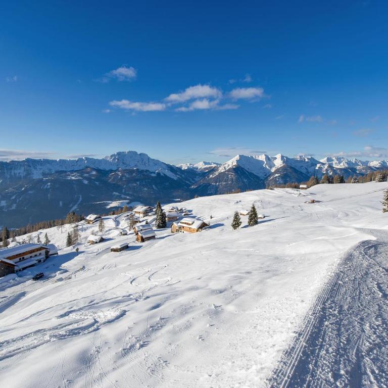 Beim Rauter - Emberger Alm - Ferienhaus mit 3 Schlafzimmern - 73