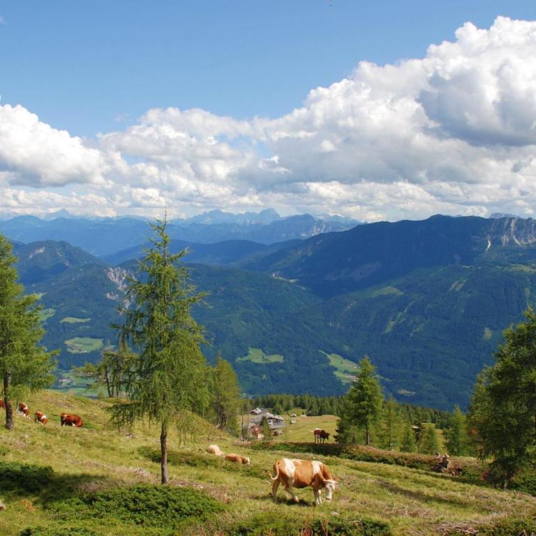 Beim Rauter - Emberger Alm - Ferienhaus mit 3 Schlafzimmern - 81