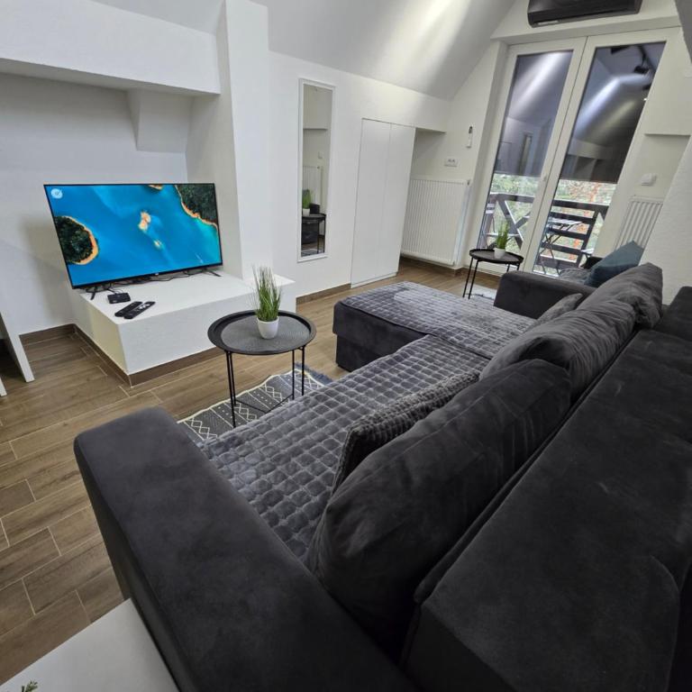 Apartmani Divila - Deluks Porodični Apartman Tipa "Suite" - 1